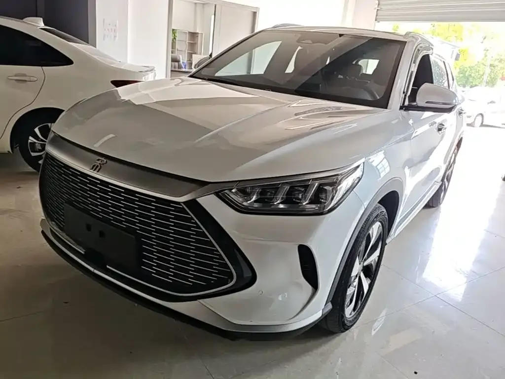 BYD PLUS New Energy — фото 1