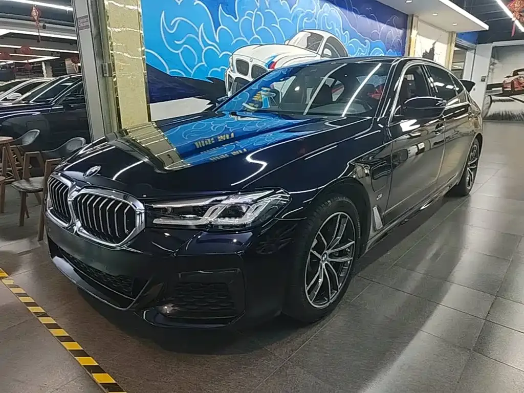 BMW 5 Series New Energy — фото 1