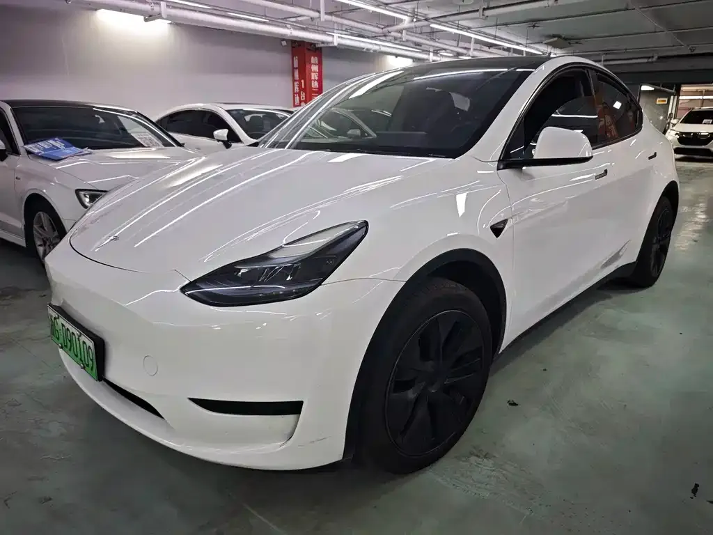 Tesla Model Y — фото 1