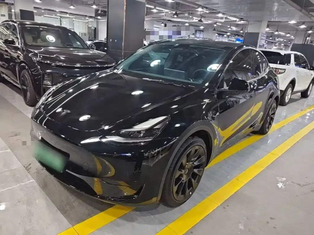 Tesla Model Y — фото 1