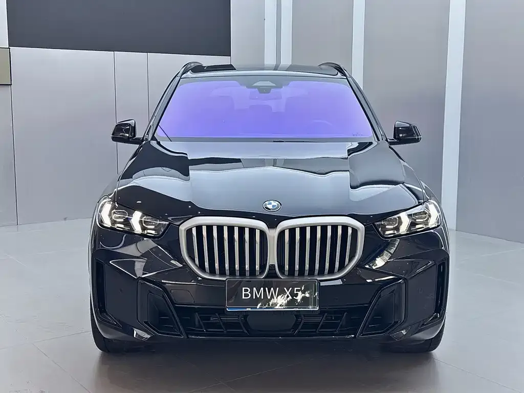 BMW X5 — фото 2