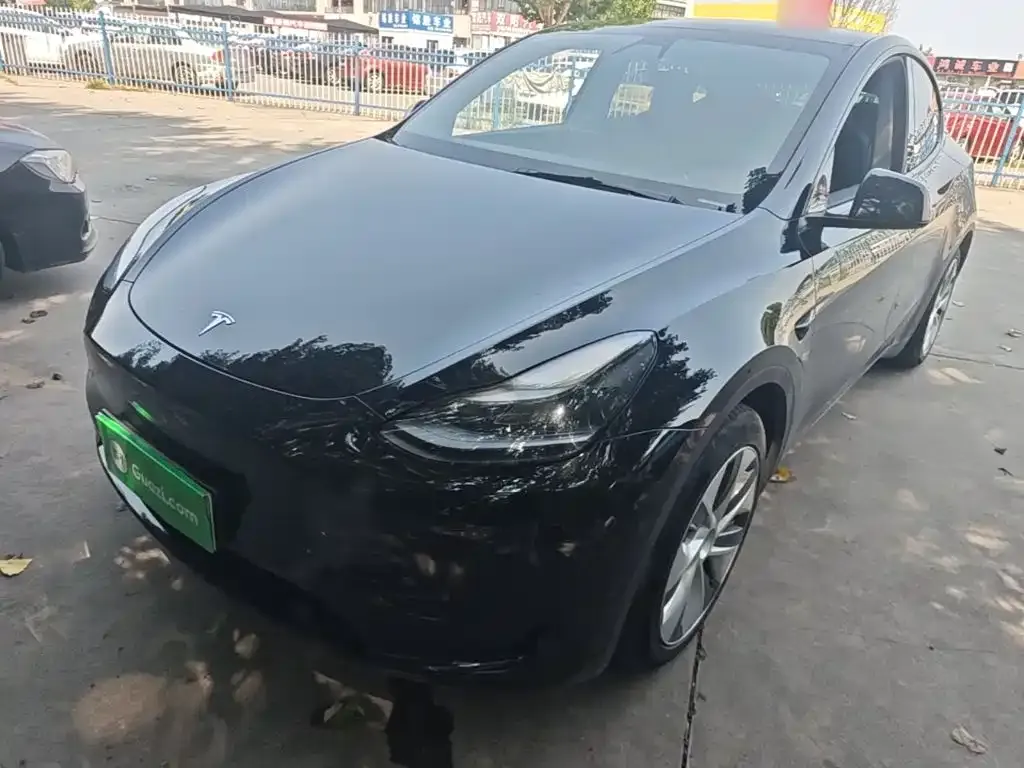 Tesla Model Y — фото 1