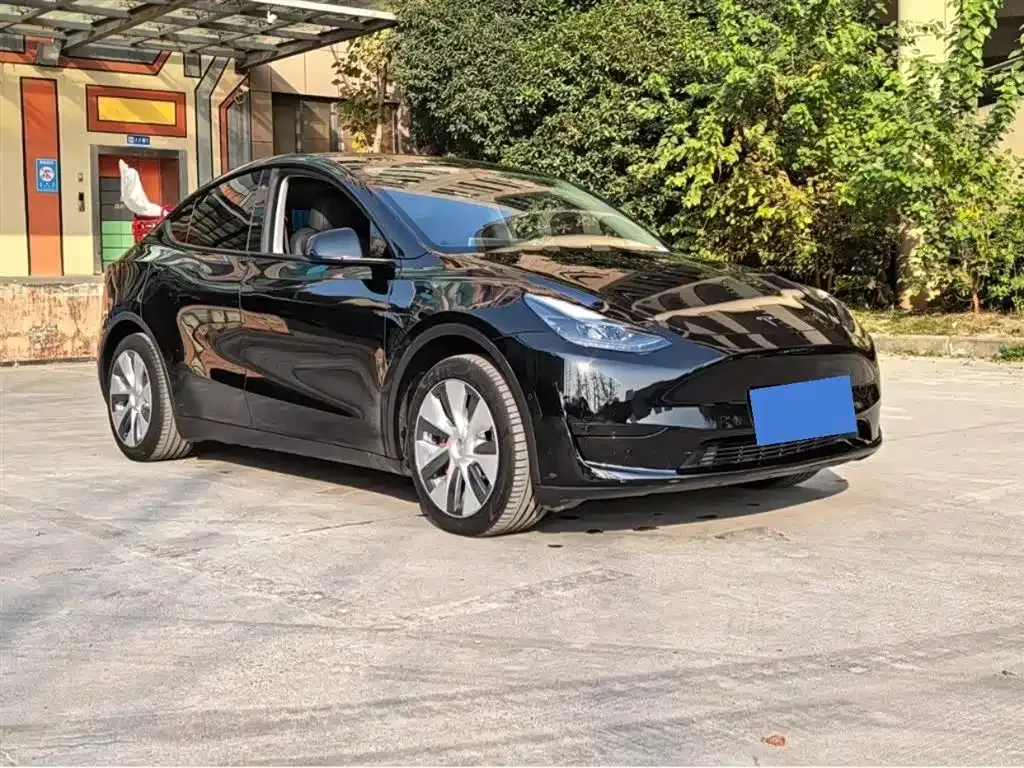 Tesla Model Y — фото 3