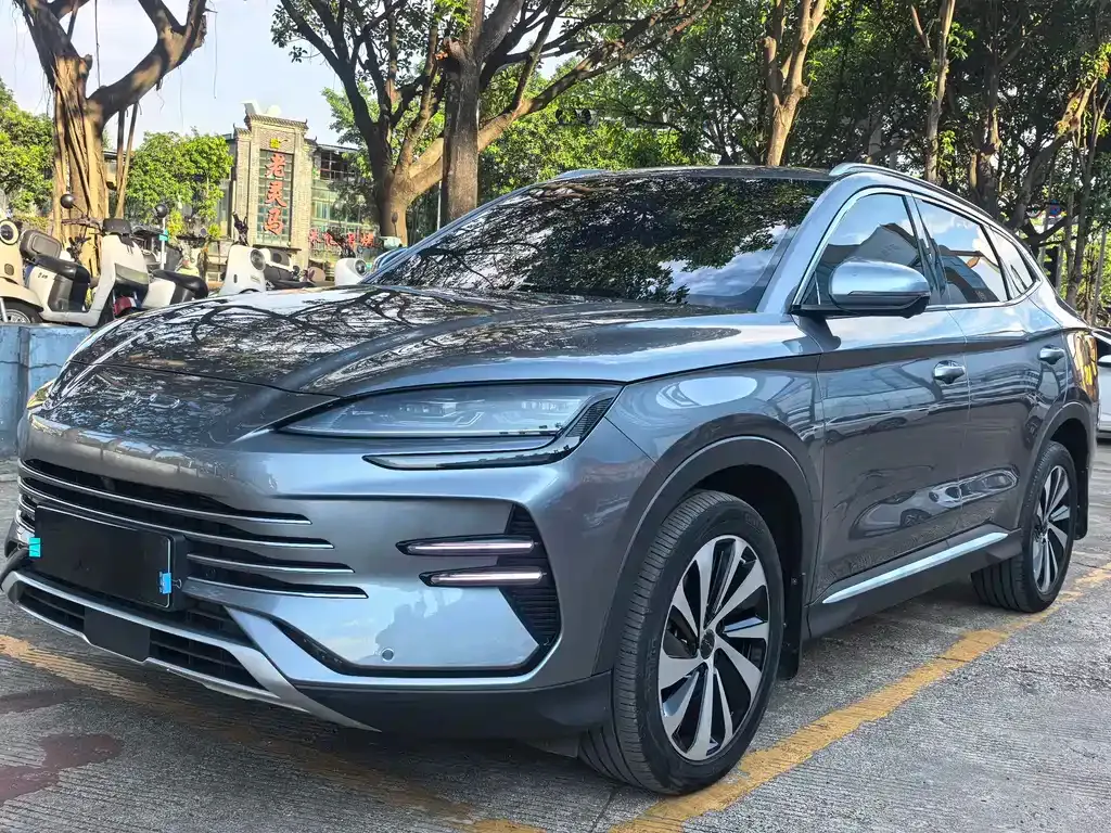 BYD PLUS New Energy — фото 1
