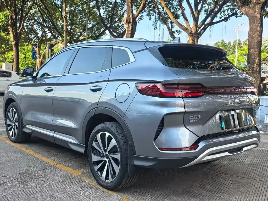 BYD PLUS New Energy — фото 10