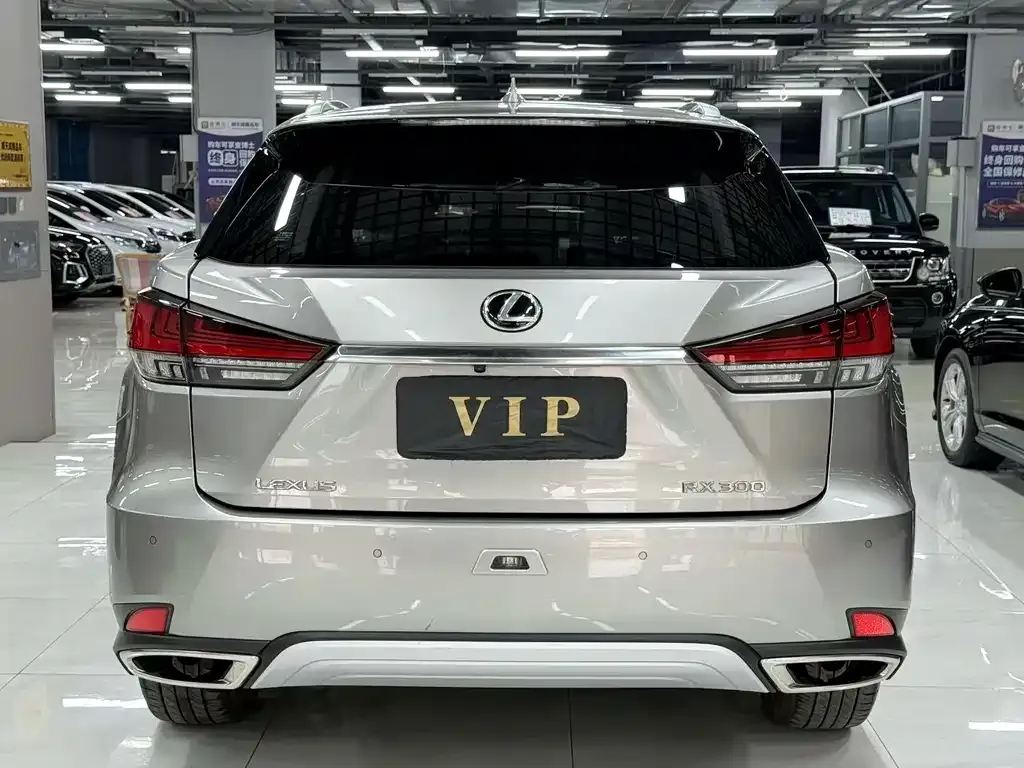 Lexus RX — фото 5