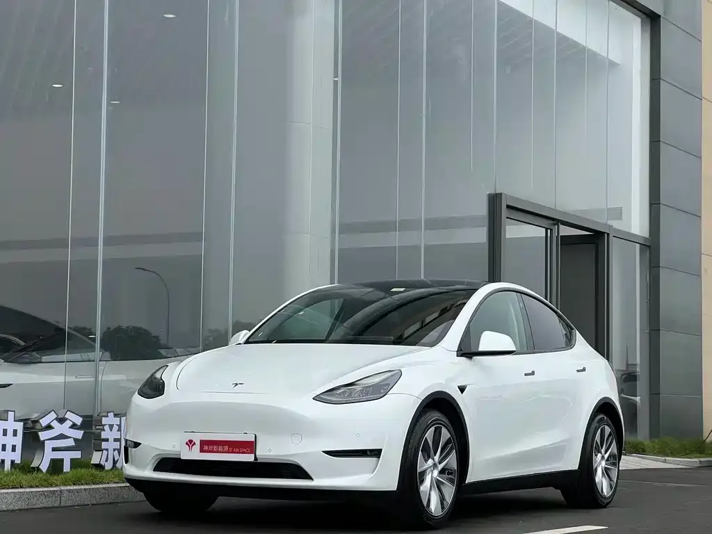 Tesla Model Y — фото 1