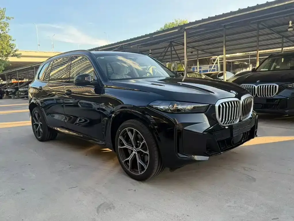 BMW X5 — фото 4