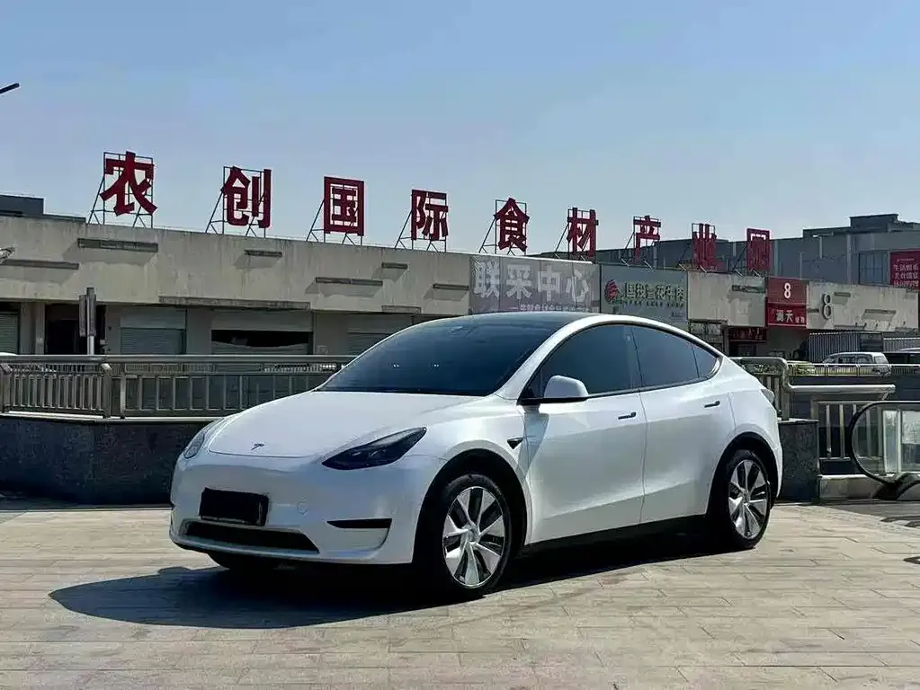 Tesla Model Y — фото 1