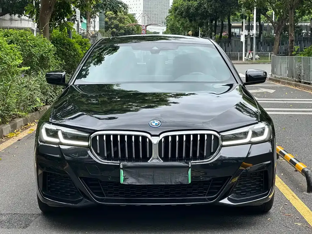 BMW 5 Series New Energy — фото 5