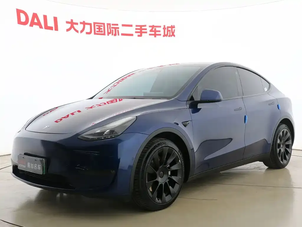 Tesla Model Y — фото 1