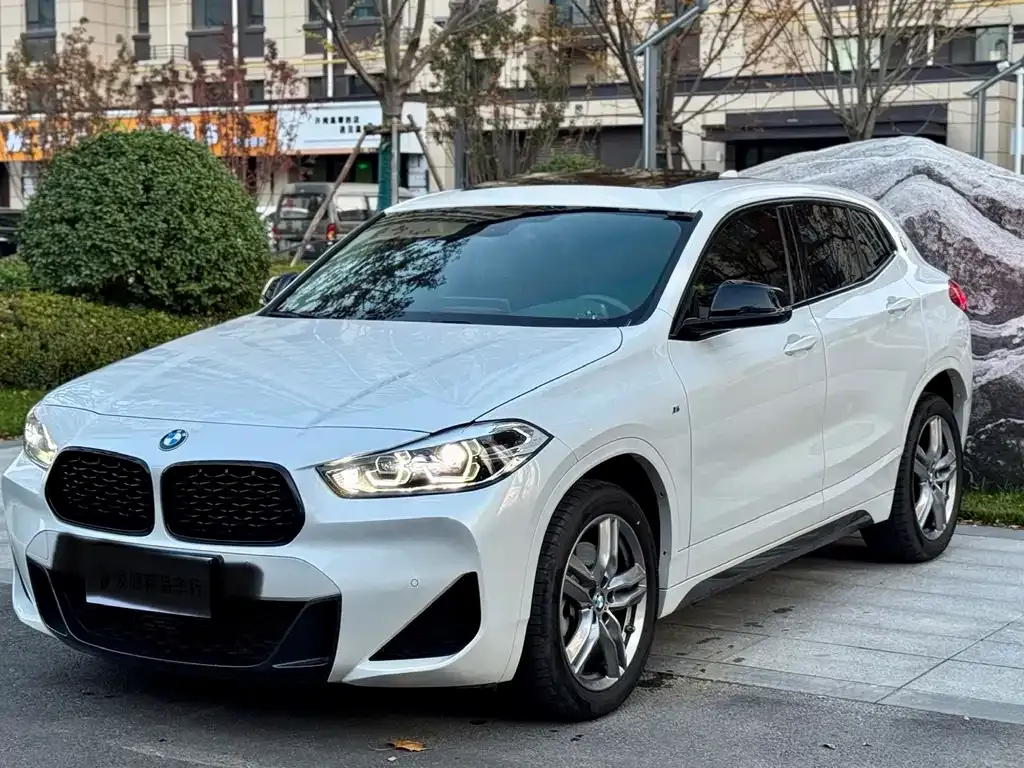 BMW X2 — фото 1