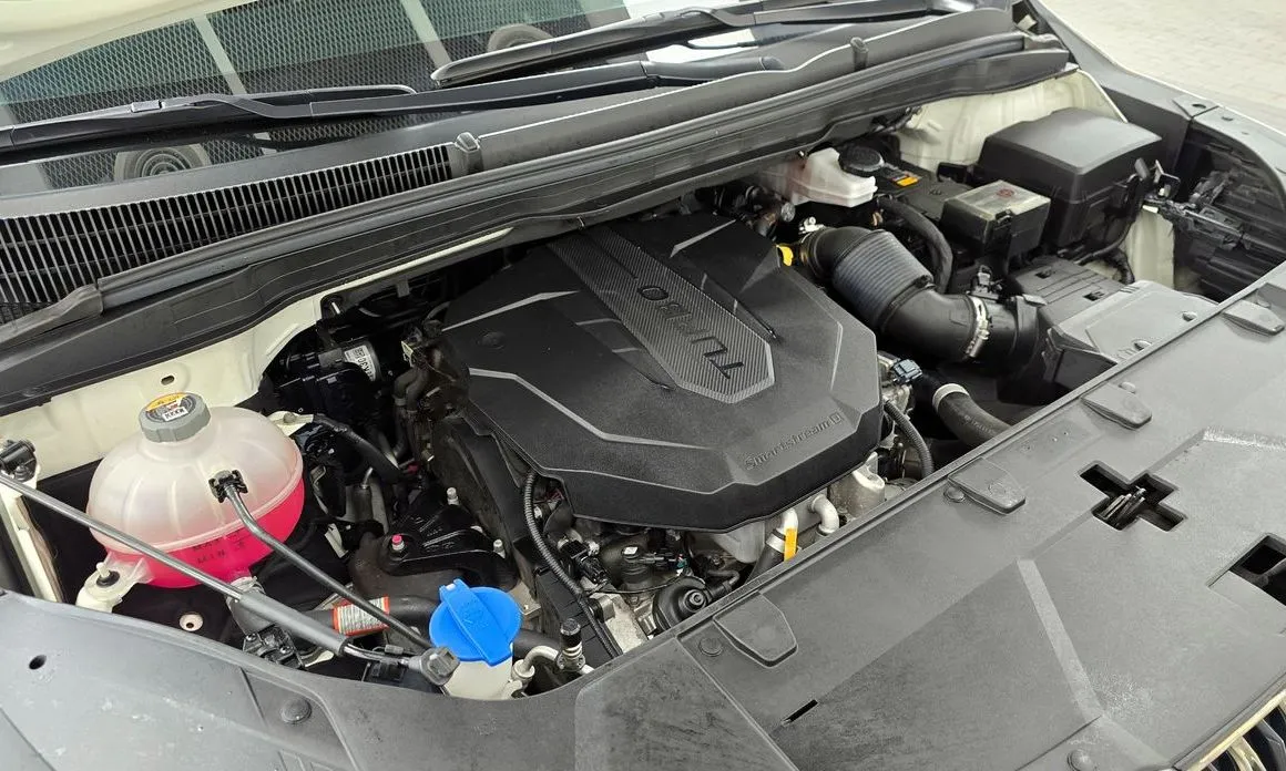 Kia Carnival — фото 10
