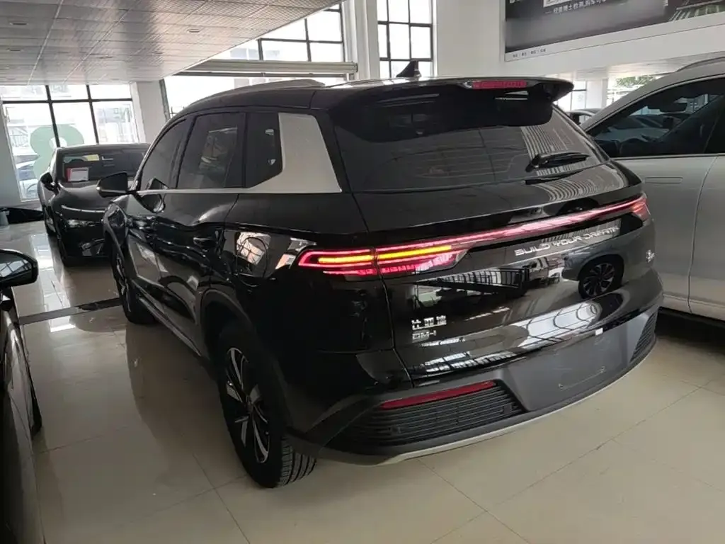 BYD Pro New Energy — фото 9