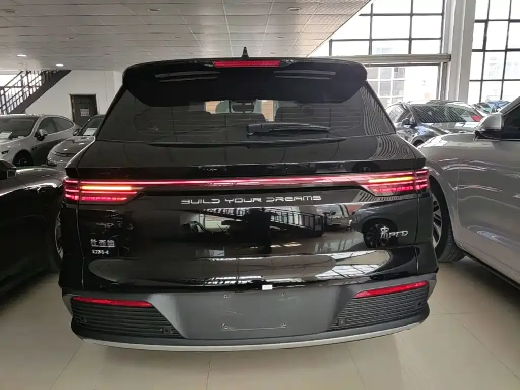 BYD Pro New Energy — фото 5