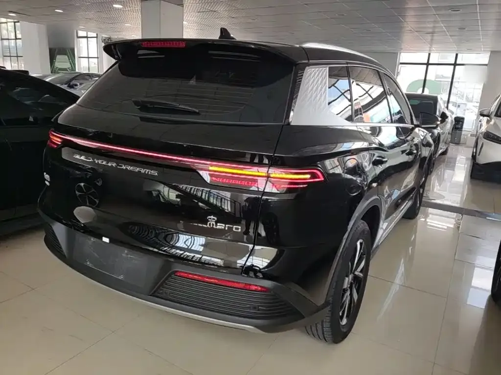 BYD Pro New Energy — фото 10