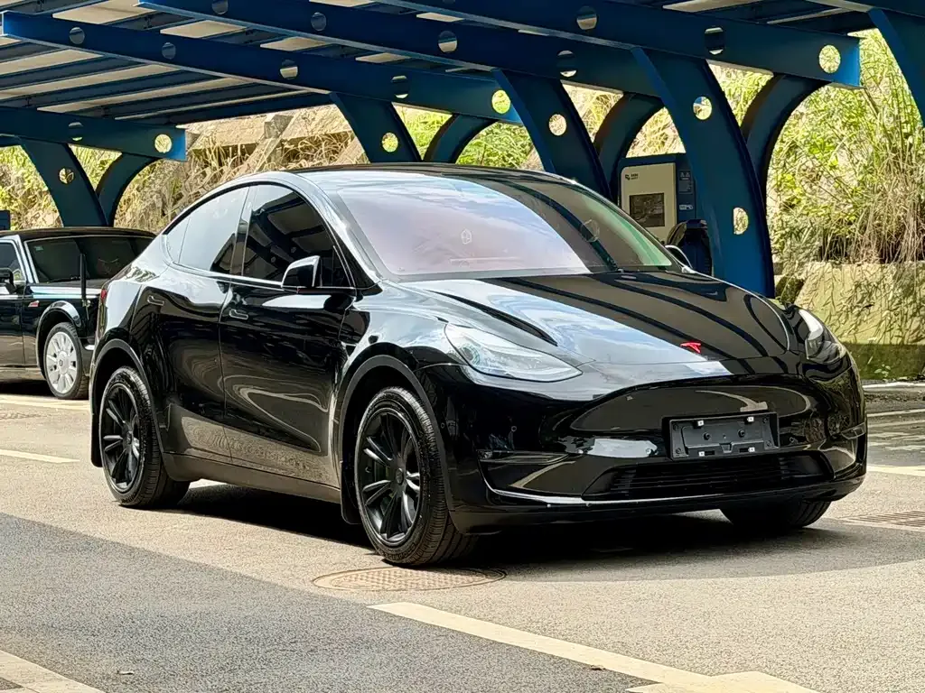 Tesla Model Y — фото 10