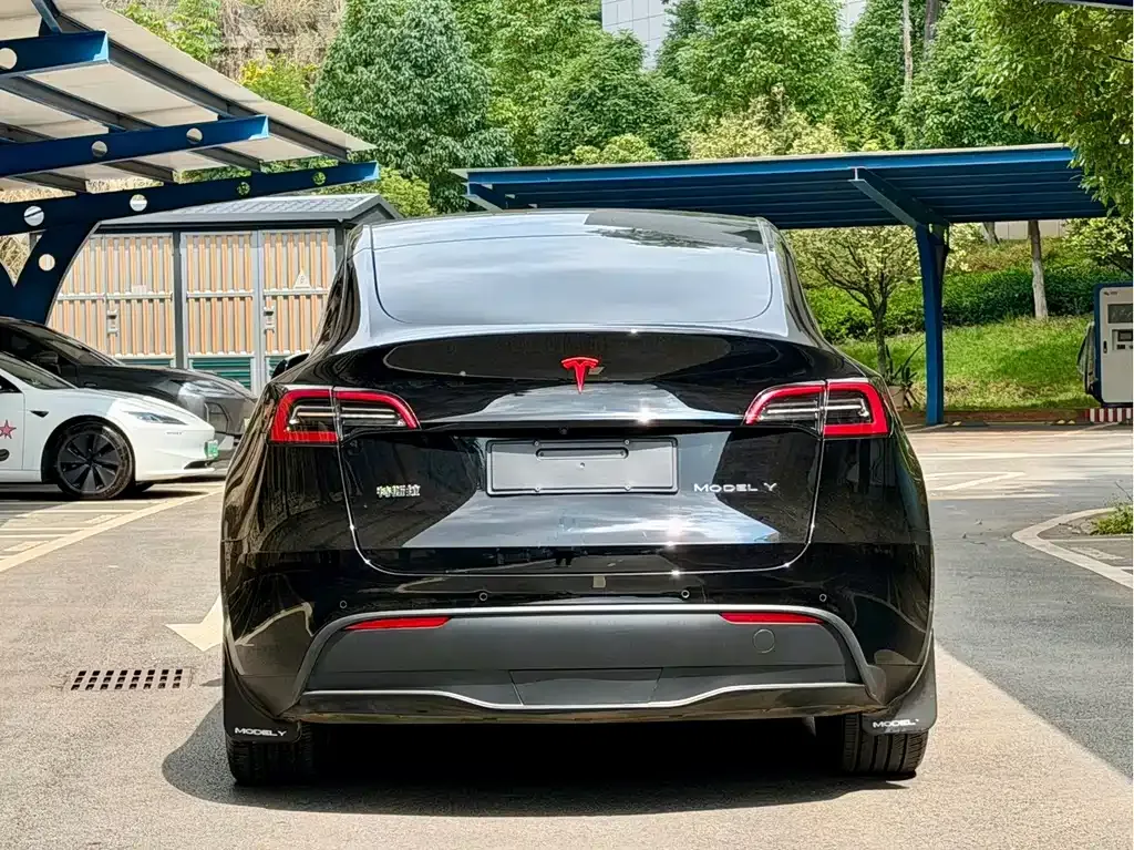 Tesla Model Y — фото 8
