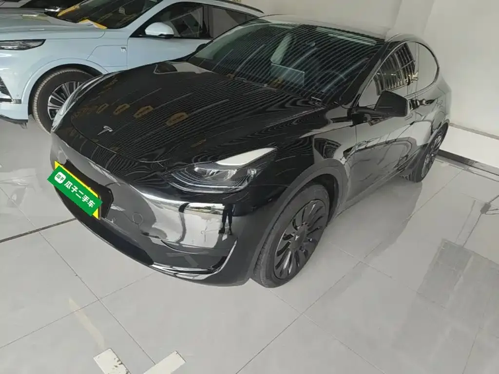 Tesla Model Y — фото 10