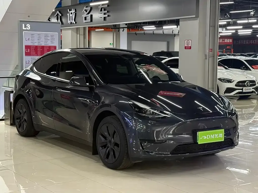 Tesla Model Y — фото 1