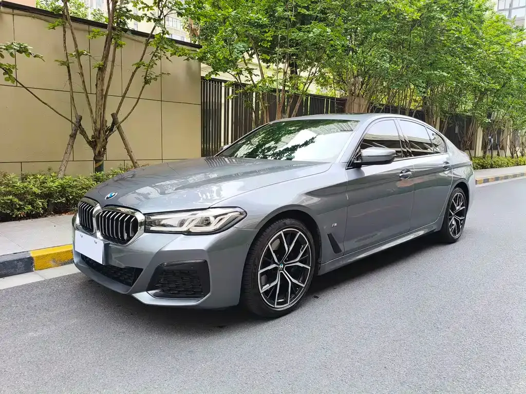 BMW 5 Series (Import) — фото 1