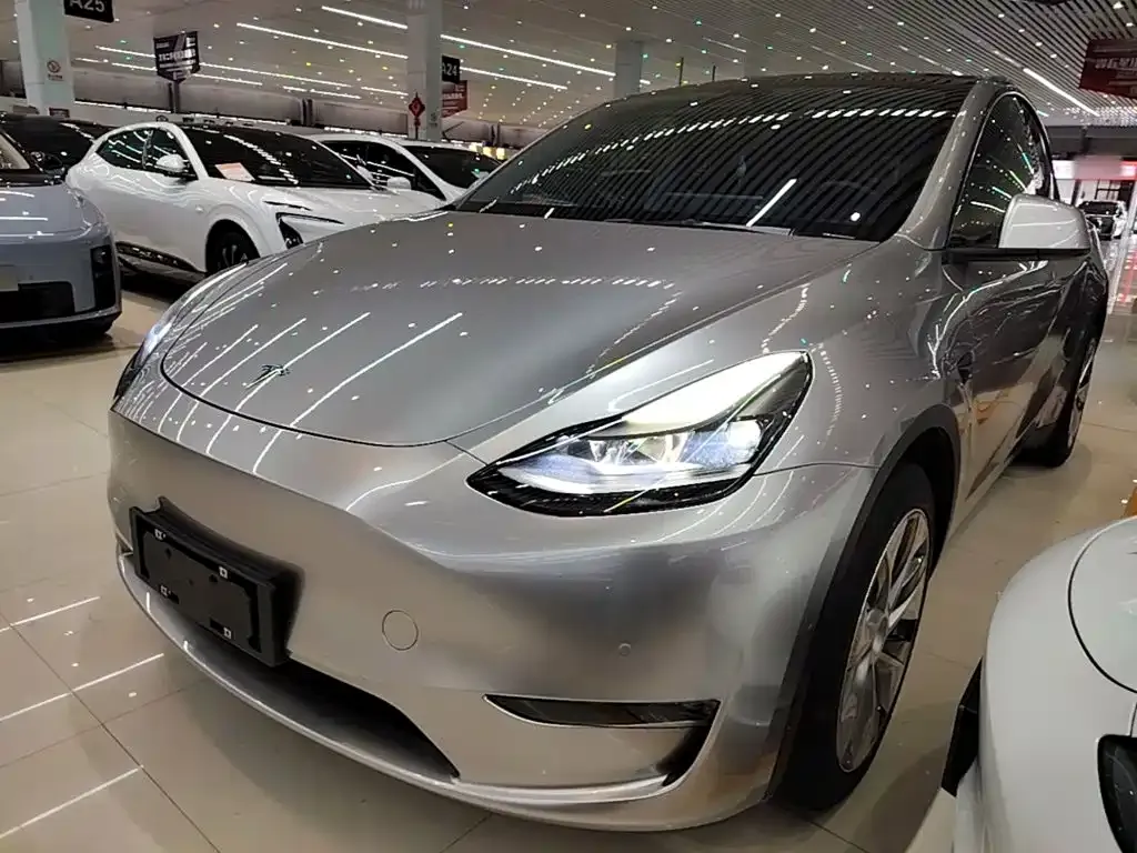 Tesla Model Y — фото 3