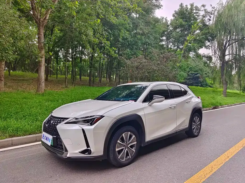 Lexus UX New Energy — фото 1