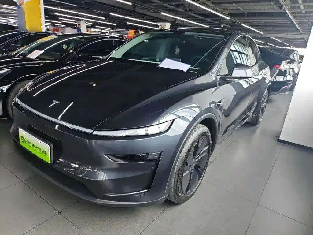 Tesla Model Y — фото 8