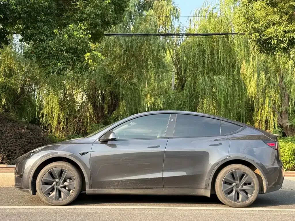 Tesla Model Y — фото 9