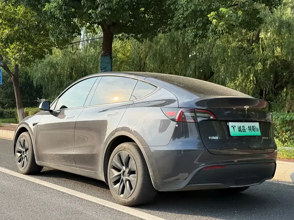 Tesla Model Y — фото 10