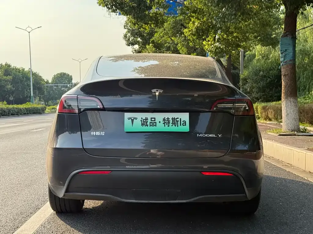 Tesla Model Y — фото 5