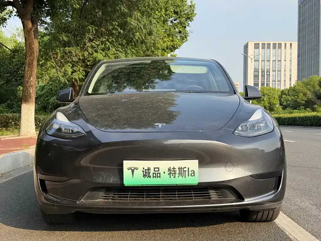 Tesla Model Y — фото 7