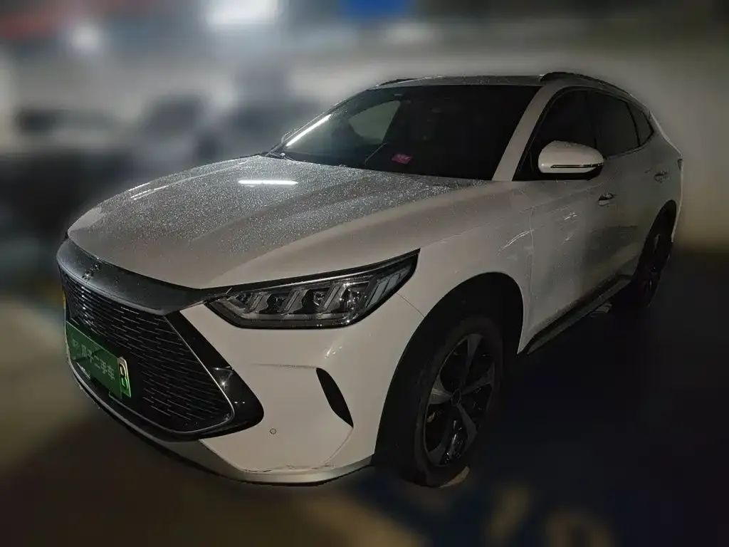 BYD PLUS New Energy — фото 1
