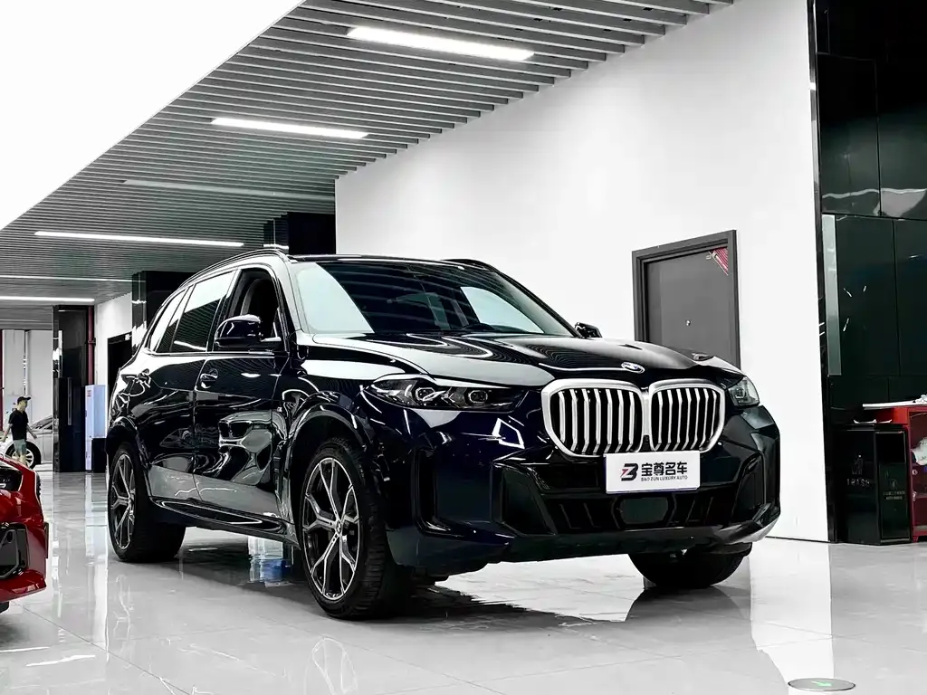 BMW X5 — фото 5