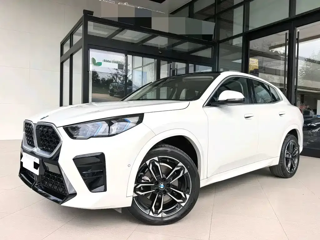 BMW X2 (Import) — фото 1