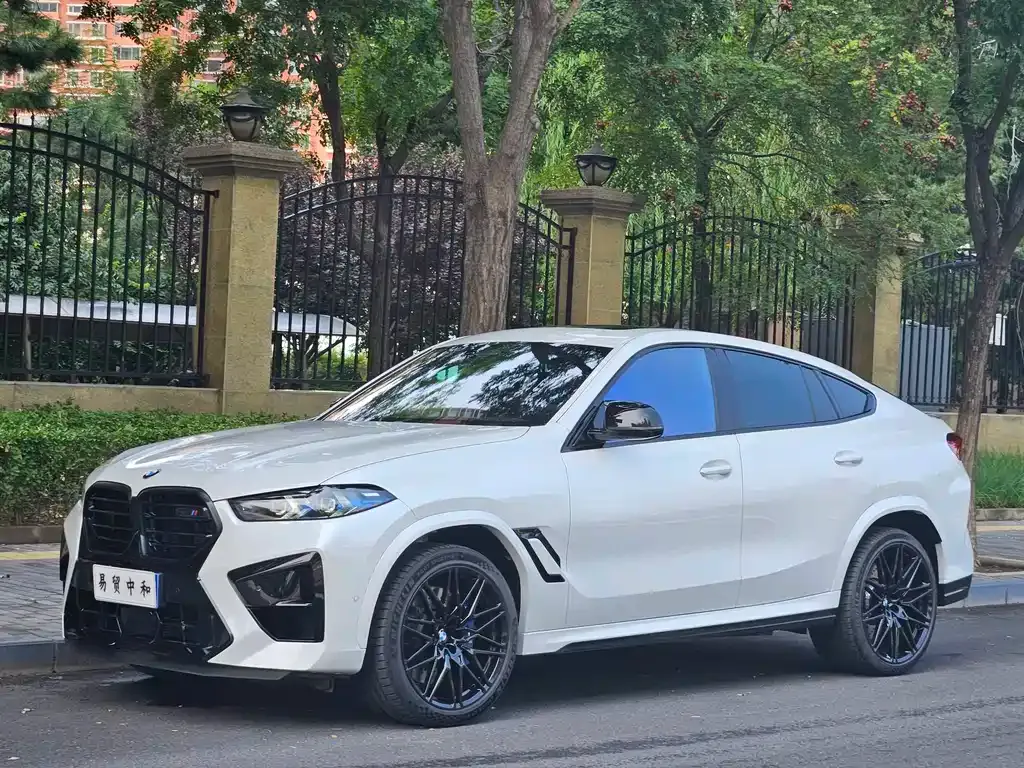 BMW X6 M — фото 1