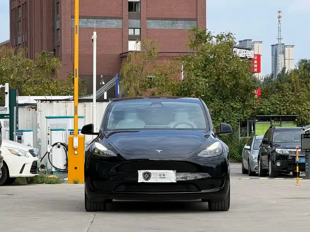 Tesla Model Y — фото 5