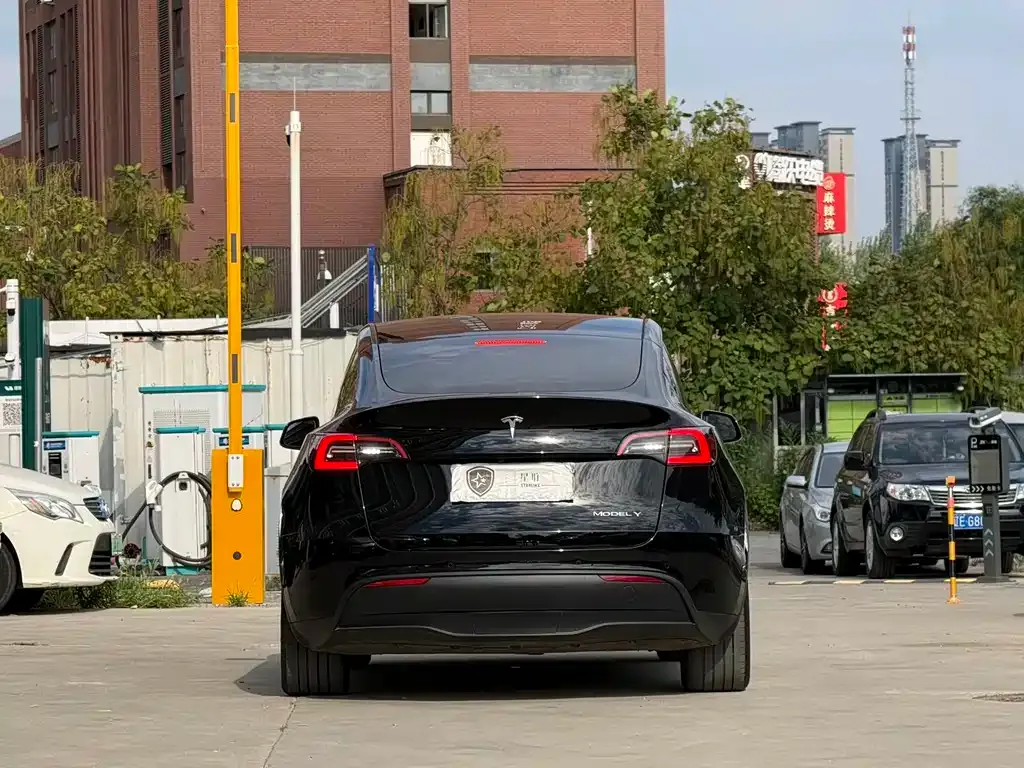 Tesla Model Y — фото 10