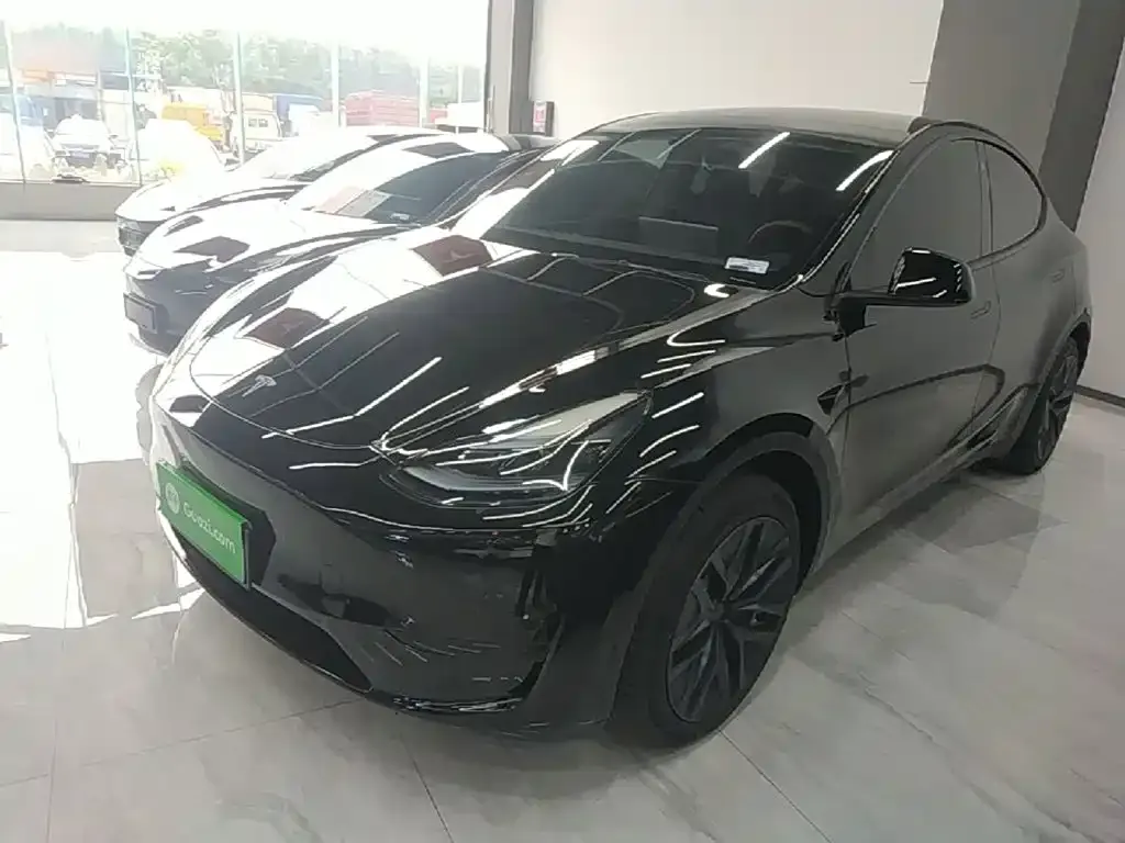 Tesla Model Y — фото 7
