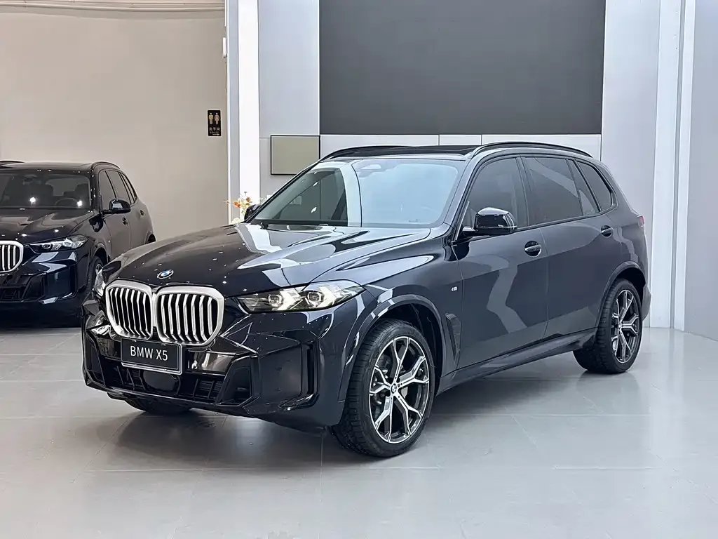 BMW X5 — фото 1
