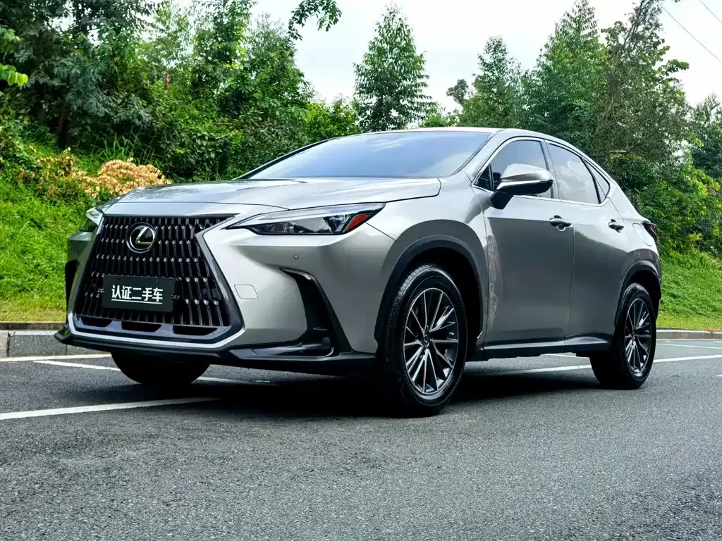 Lexus NX — фото 1