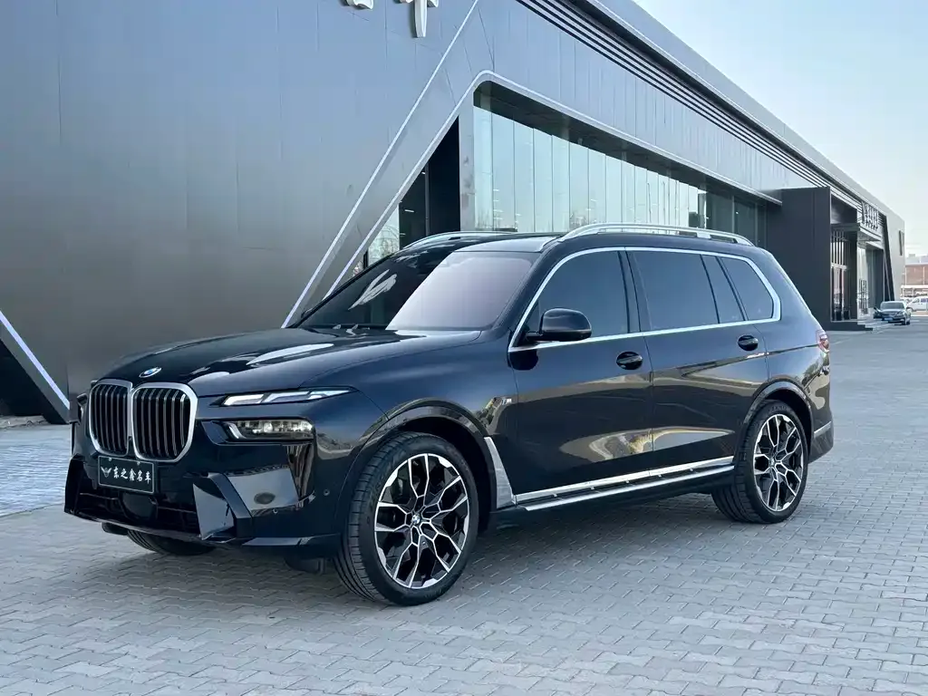 BMW X7 — фото 9