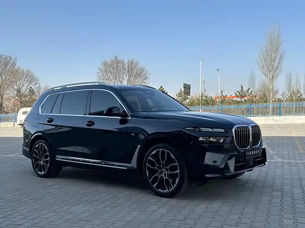 BMW X7 — фото 4