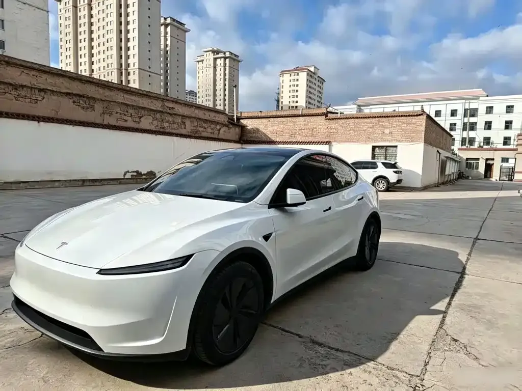 Tesla Model Y — фото 10