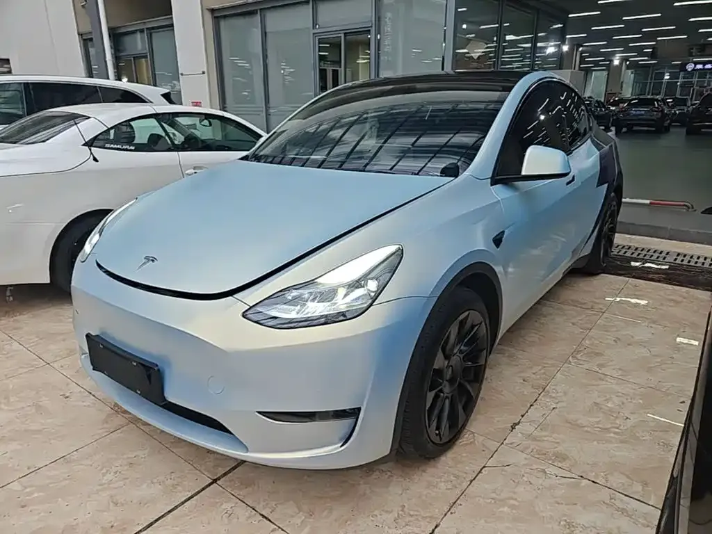 Tesla Model Y — фото 1