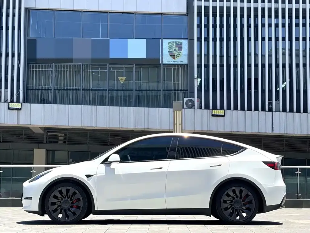 Tesla Model Y — фото 5