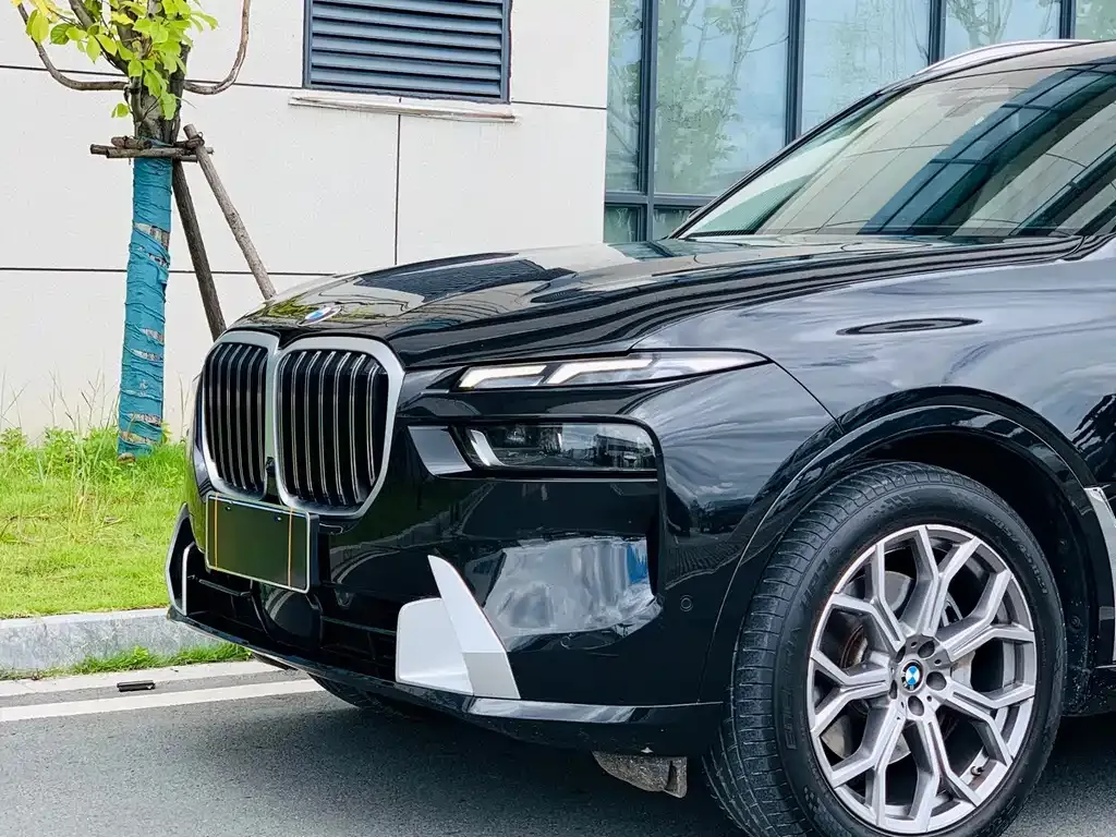 BMW X7 — фото 8
