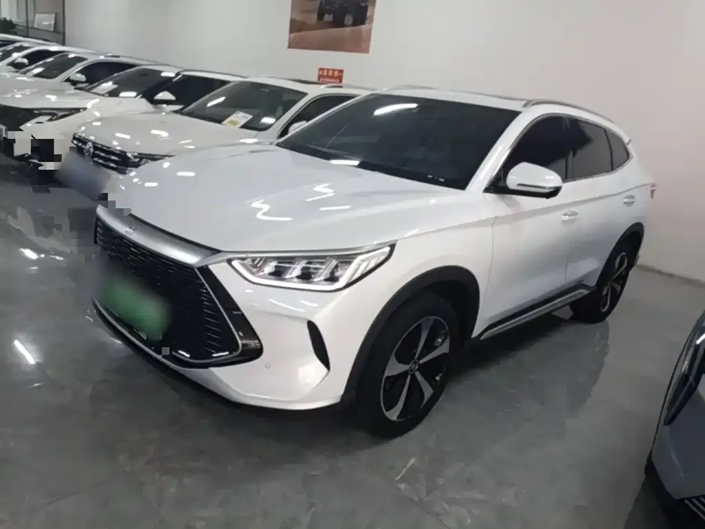 BYD PLUS New Energy — фото 1