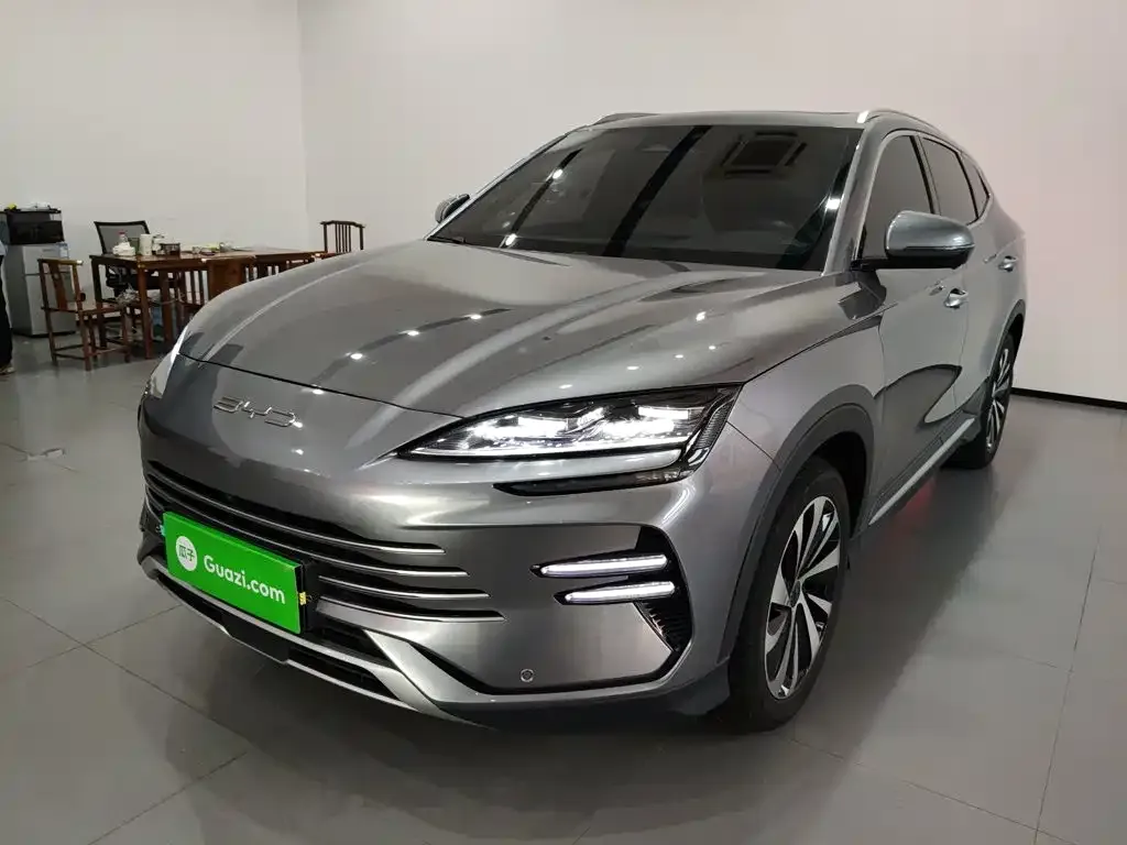 BYD PLUS New Energy — фото 1