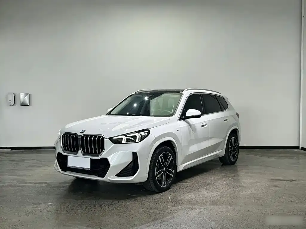 BMW X1 — фото 1